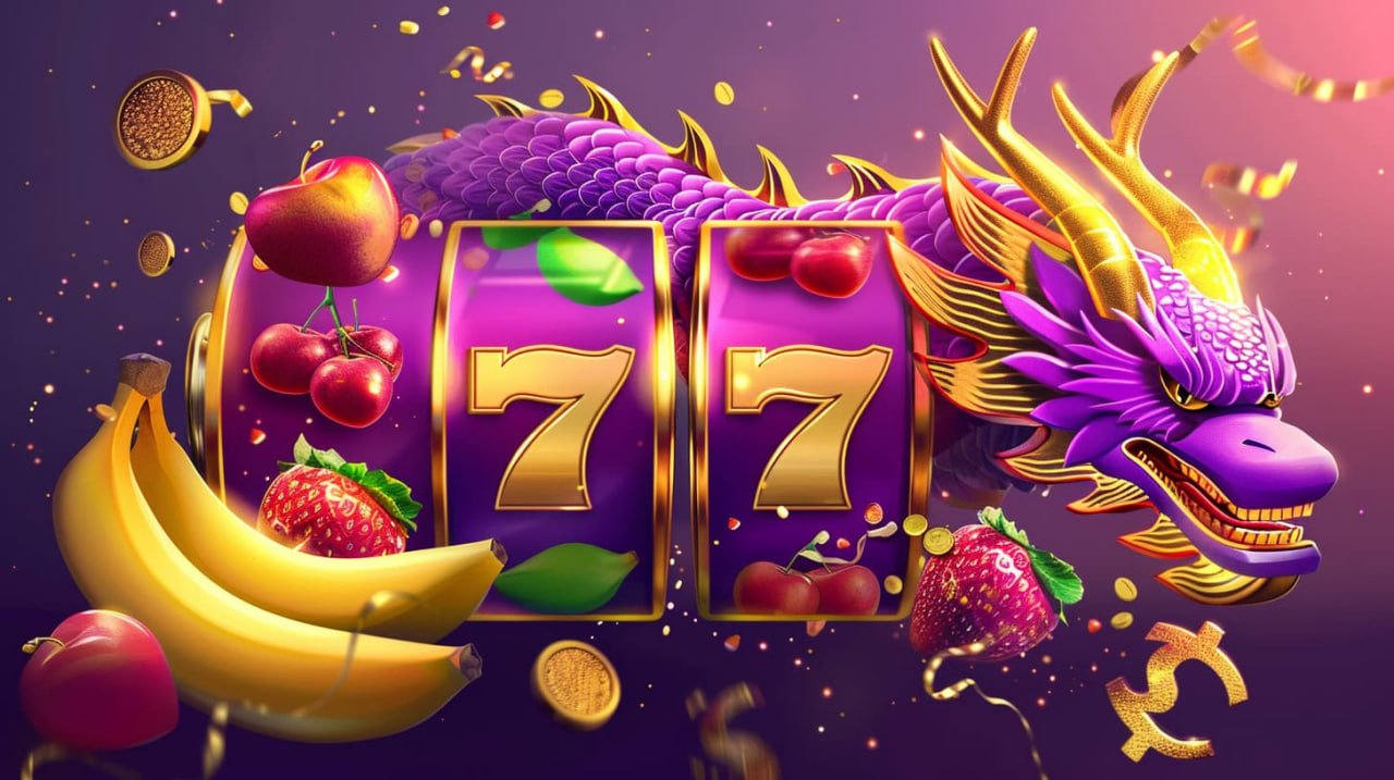 24vip